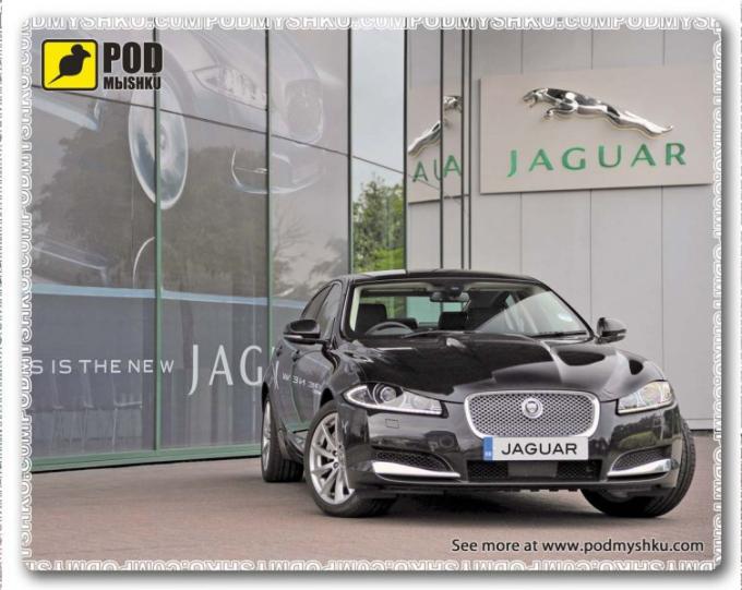 Podmyshku Jaguar