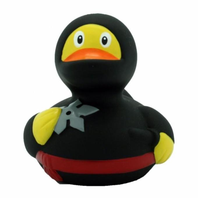 Funny Ducks L1819