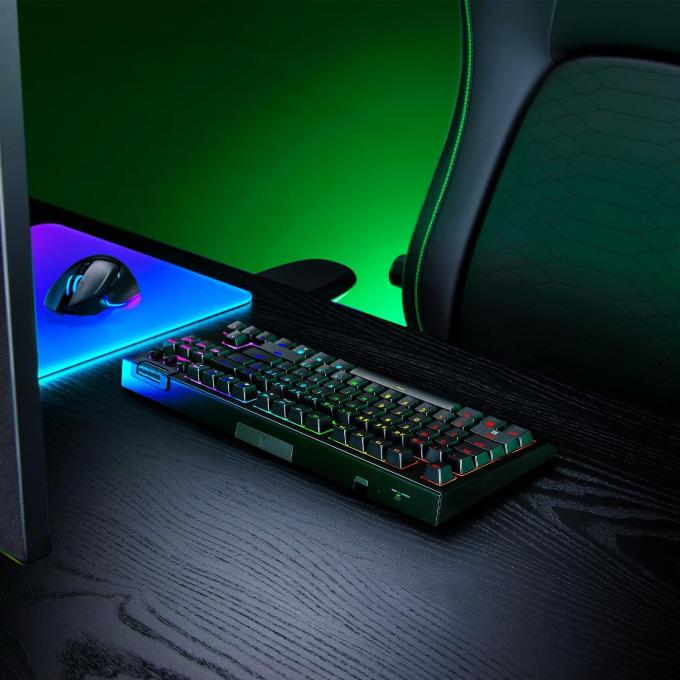 Razer RZ03-05480100-R3M1