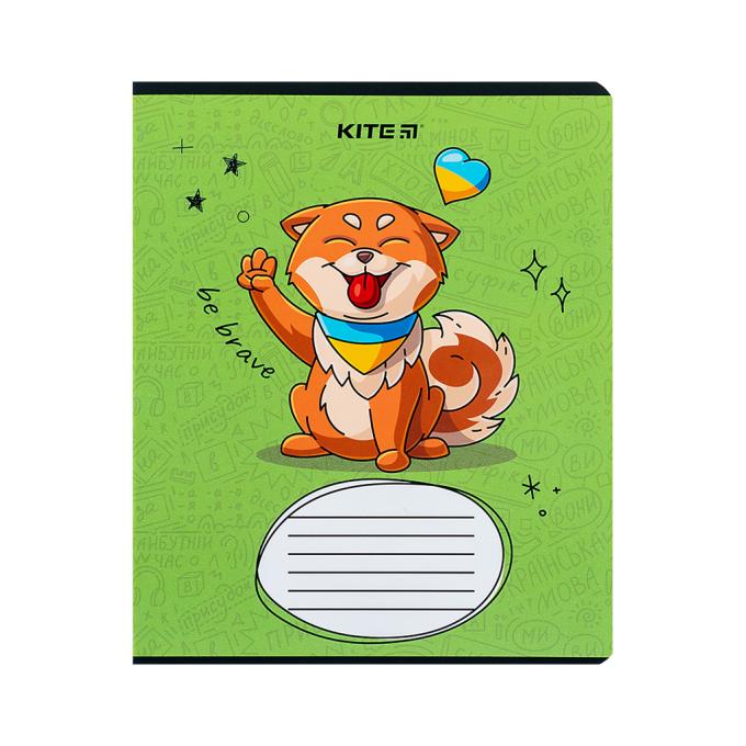 Kite K24-234-2