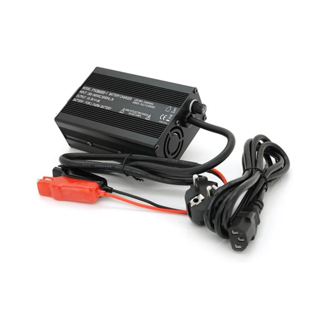 VOLTRONIC FY4386000-1