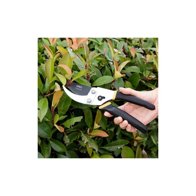 DELI DL580204