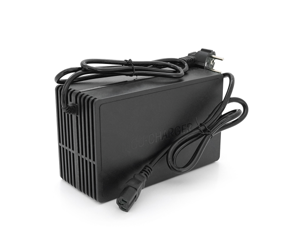 VOLTRONIC YT-SL750-58810P