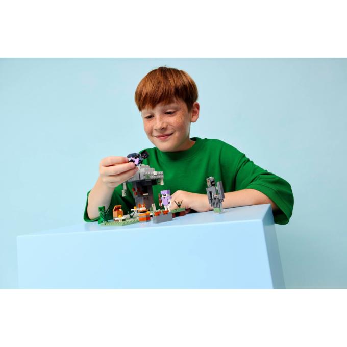LEGO 21586