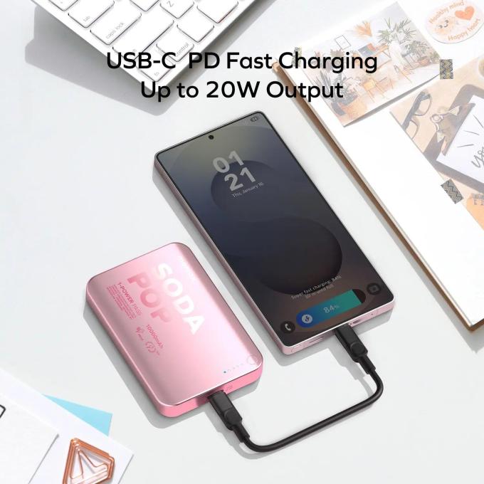 Momax IP166S