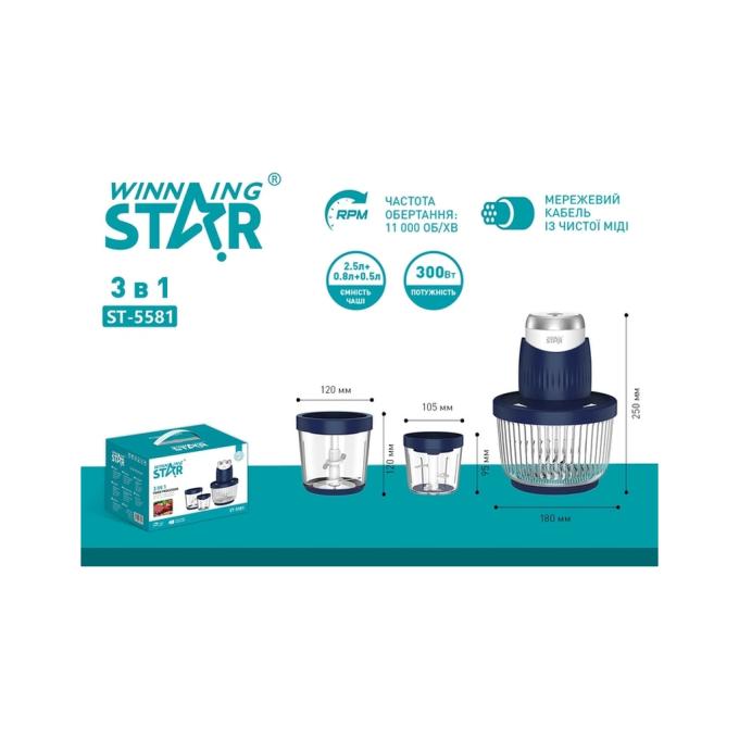 WINNINGSTAR ST-5581 300W MAX 2.5L Blue