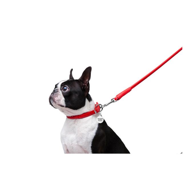 WAUDOG 33773