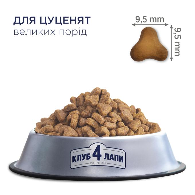 Club 4 Paws 4820083909481