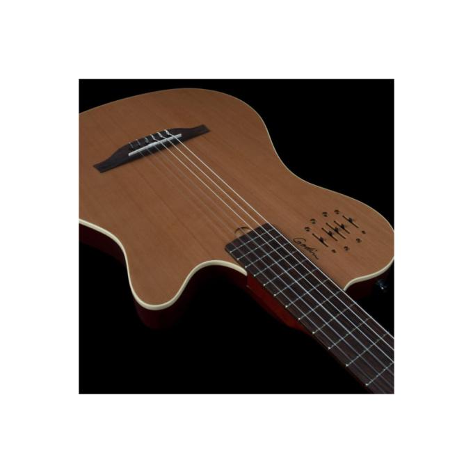 Godin 235919