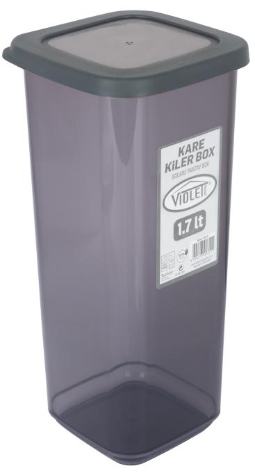 VIOLET HOUSE 0311 Transparent Black