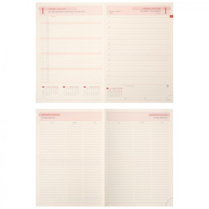 Leo planner 252637