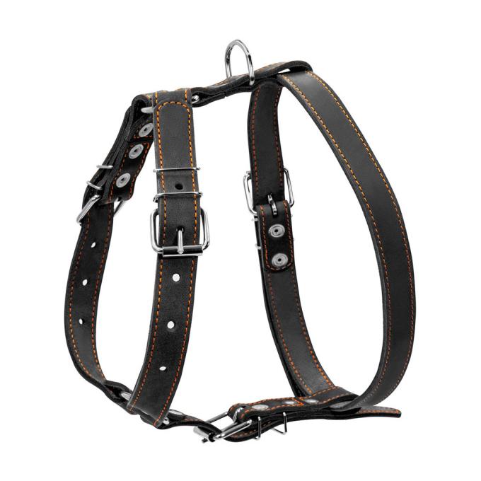 Collar 06381