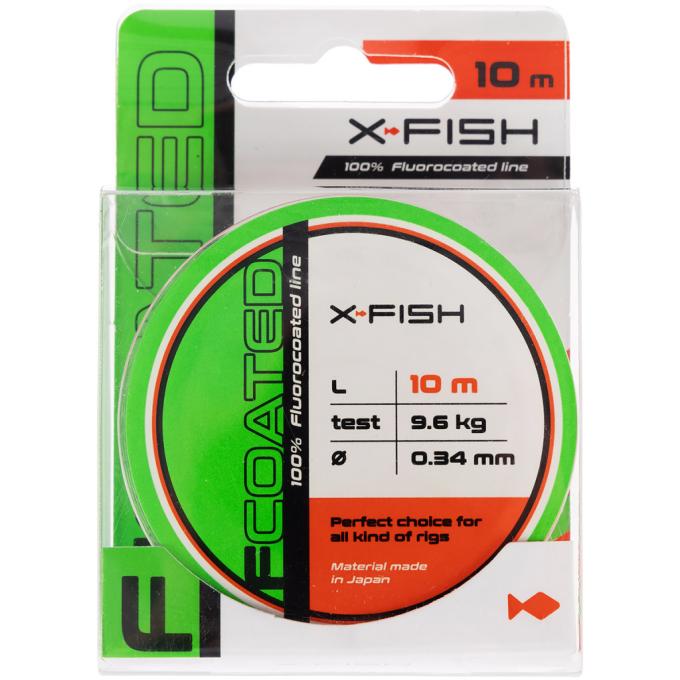 X-Fish 1917.01.30