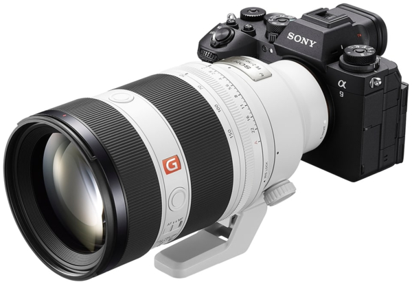 SONY SEL50150GMW.SYX