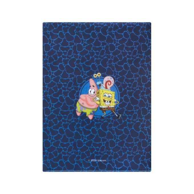 Kite SB25-248