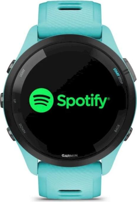 Garmin 010-02810-52