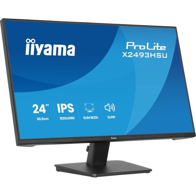 Iiyama X2493HSU-B1