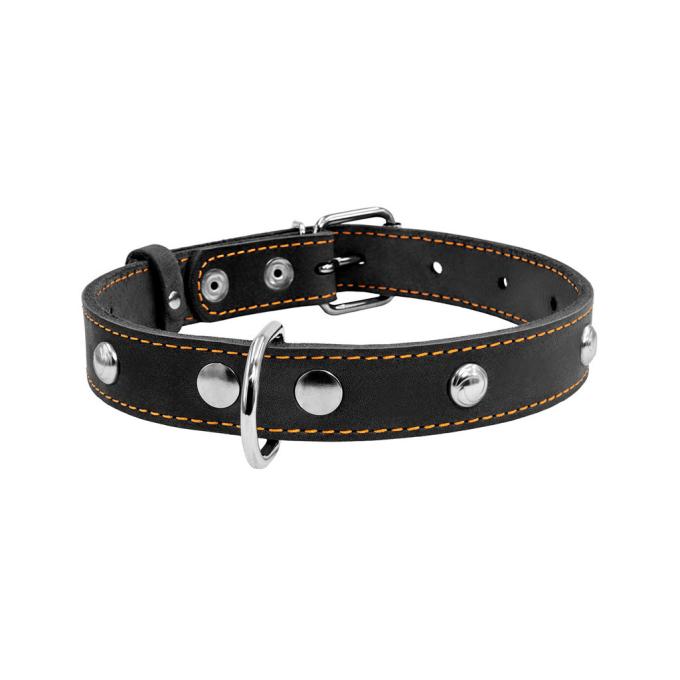 Collar 01351