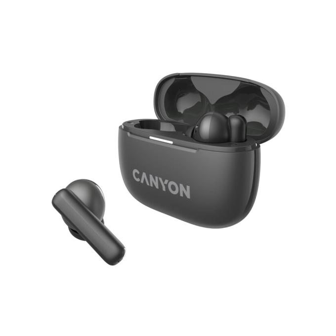 Canyon CNS-TWS10B