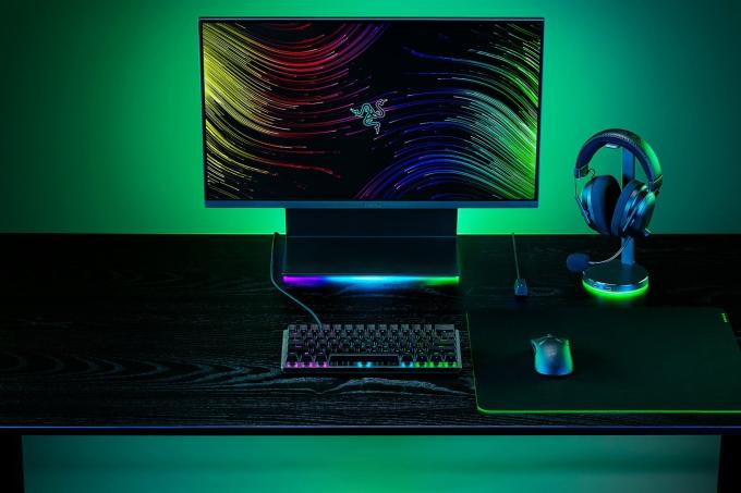 Razer RZ03-04990100-R3M1