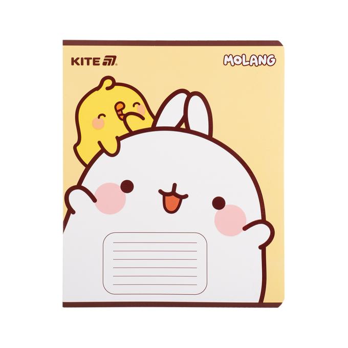 Kite ML25-236