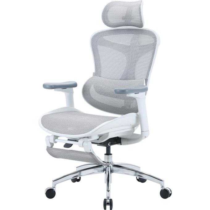 Sihoo DORO-C300L-A3-102-JT