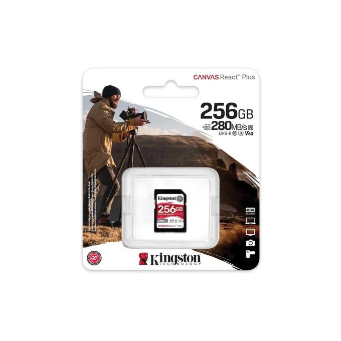 Kingston SDR2V6/256GB