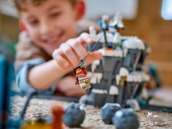 LEGO 60470