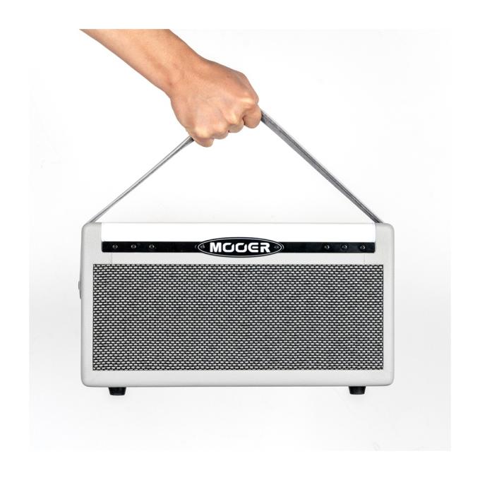Mooer SD30i