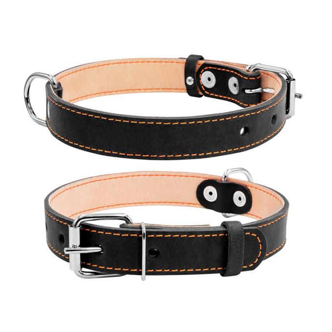 Collar 02291