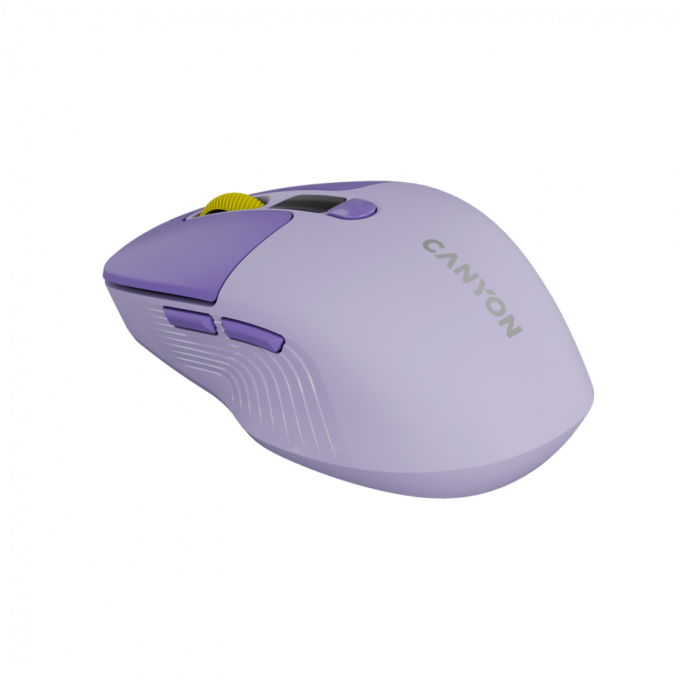 Canyon CNS-CMSW26V