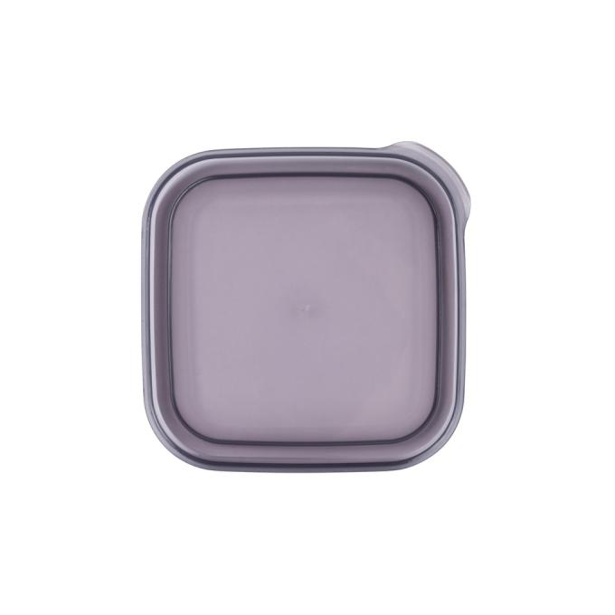 VIOLET HOUSE 0298 Transparent Black
