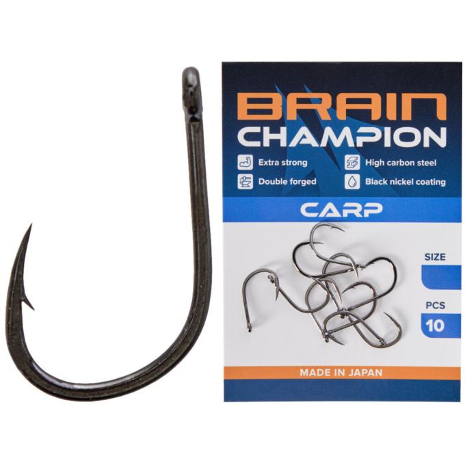 BRAIN 1858.54.31
