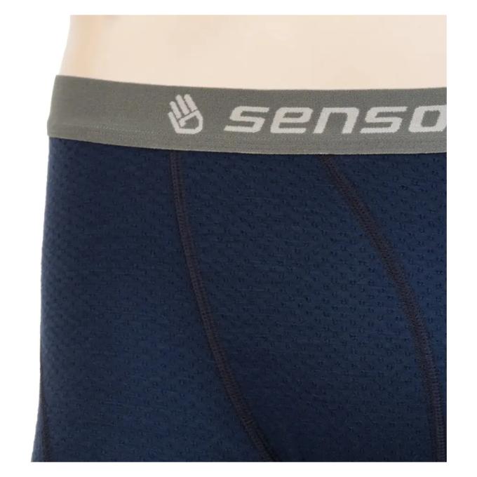 Sensor SM21M-deepblue-L