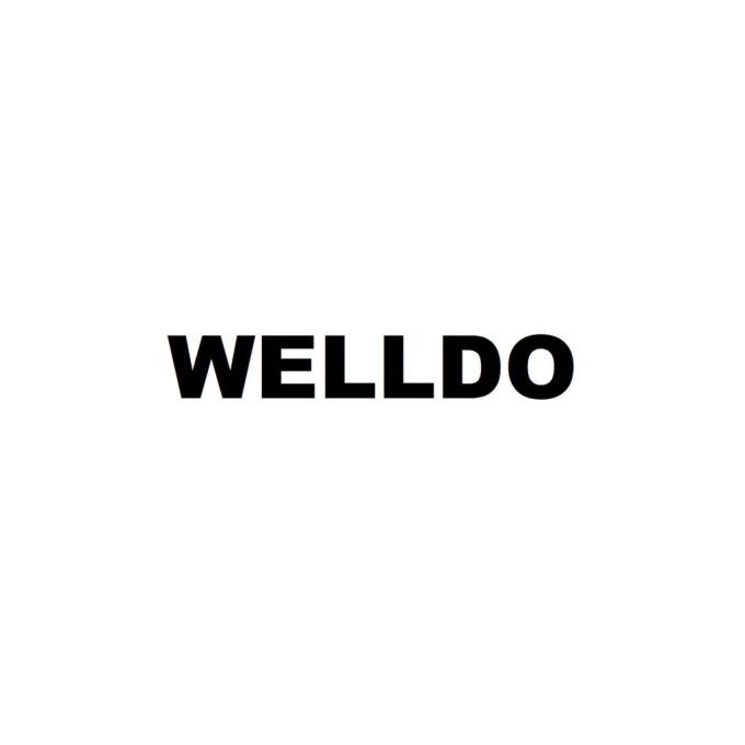 WELLDO JC66-02716B-WDS