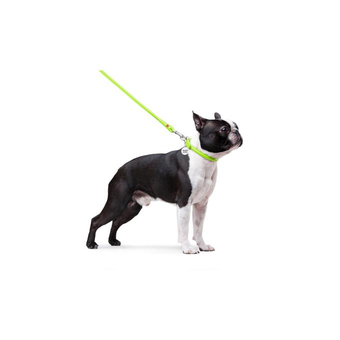 WAUDOG 33775