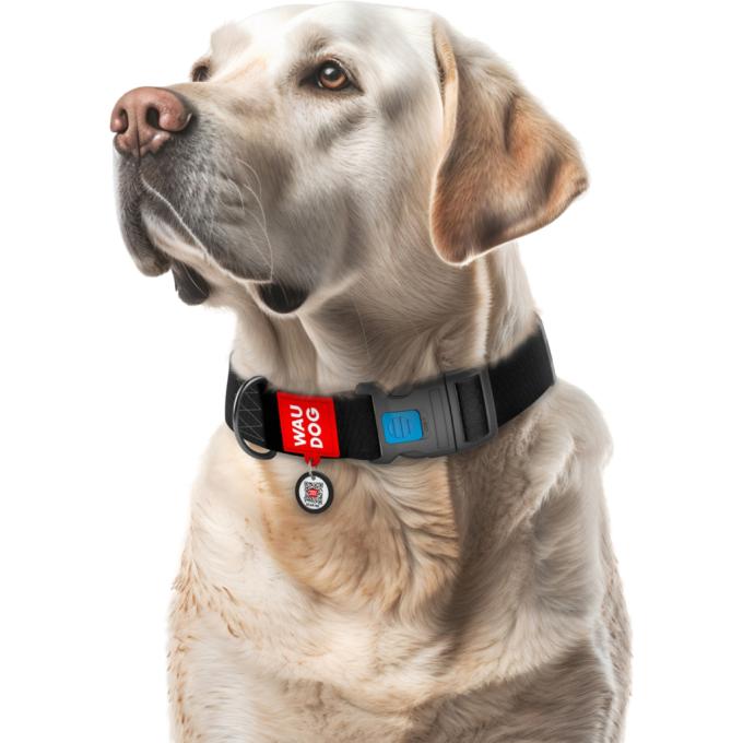 WAUDOG 25111