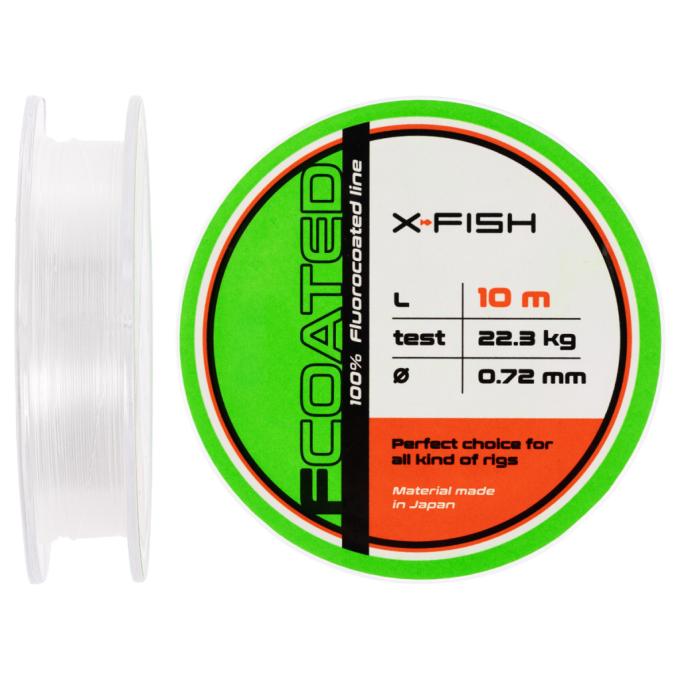 X-Fish 1917.01.38