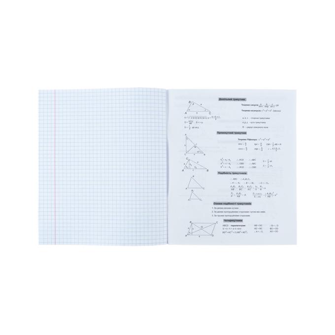 Kite K24-240-19