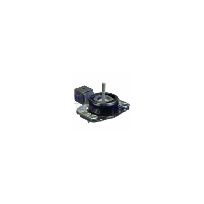 DELPHI TEM087