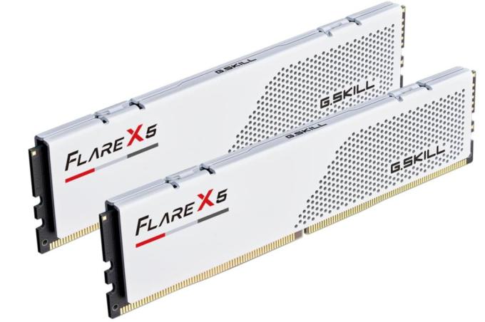 G.Skill F5-6000J3636F32GX2-FX5W