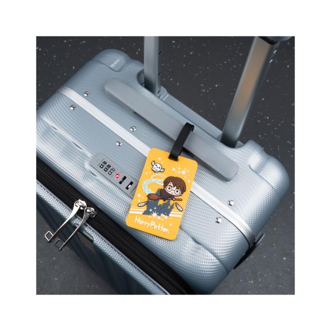 Kite HP25-3004