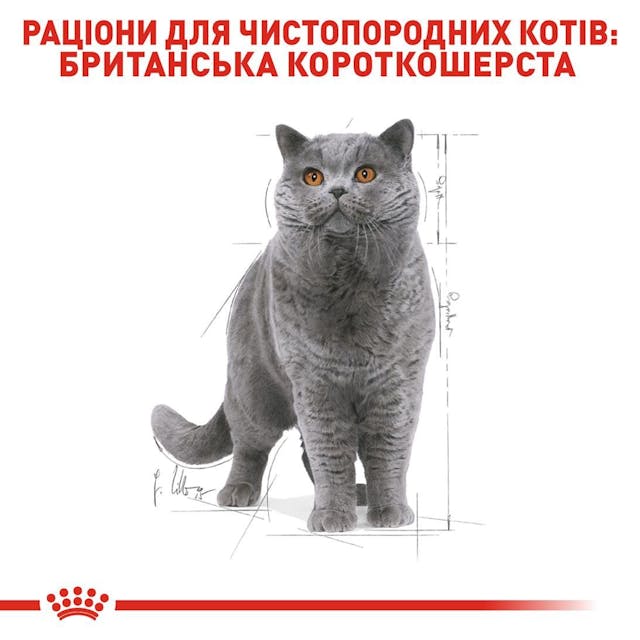 Royal Canin 2557020