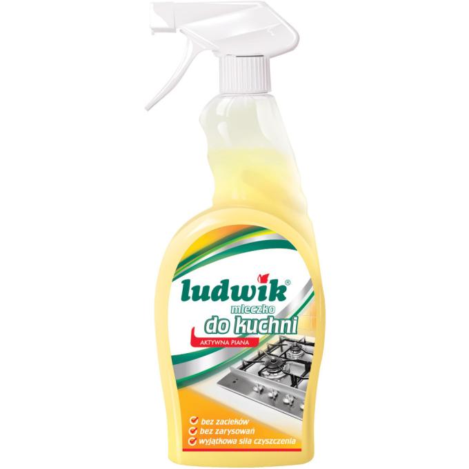 Ludwik 5900498000856