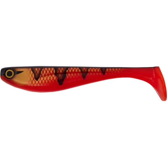 FishUP 1862.02.20