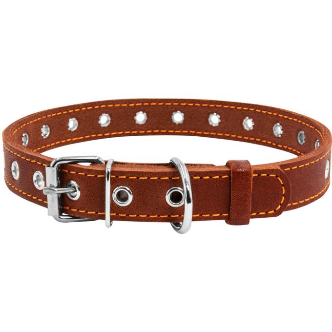 Collar 01516