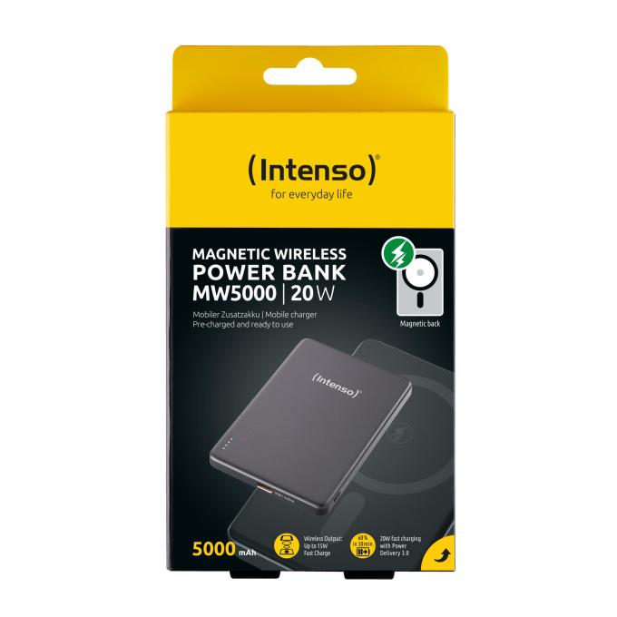 Intenso 7344024
