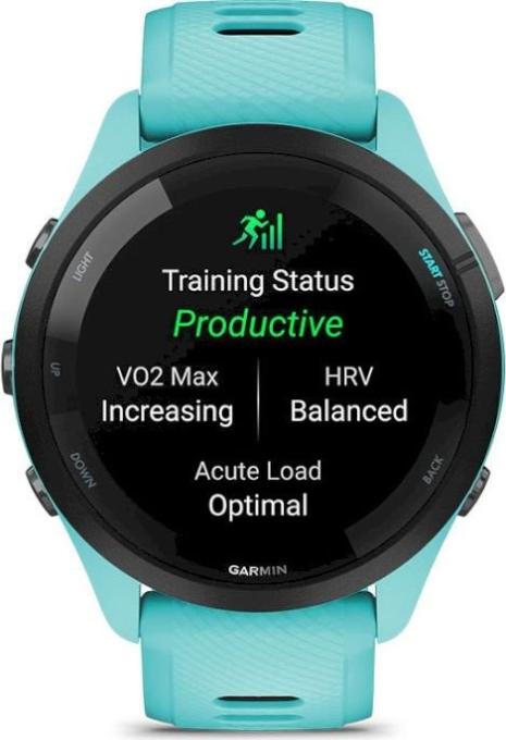 Garmin 010-02810-52