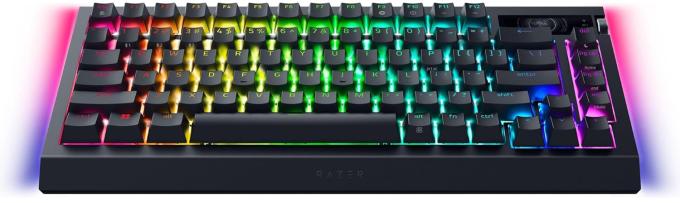 Razer RZ03-05130100-R3M1