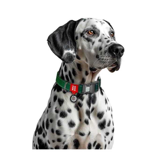 WAUDOG 521018